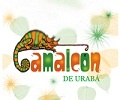 camaleon_120